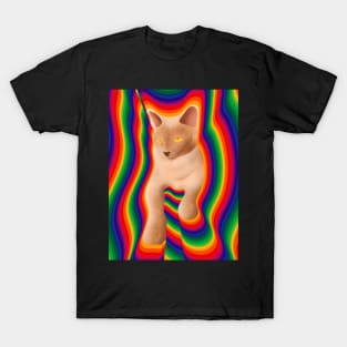 White burmese cat with yellow eyes T-Shirt